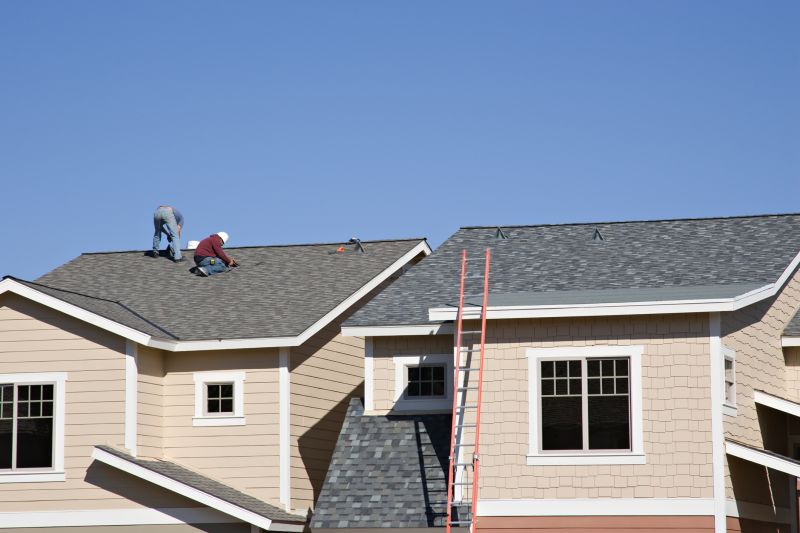 Roofing Repair Work